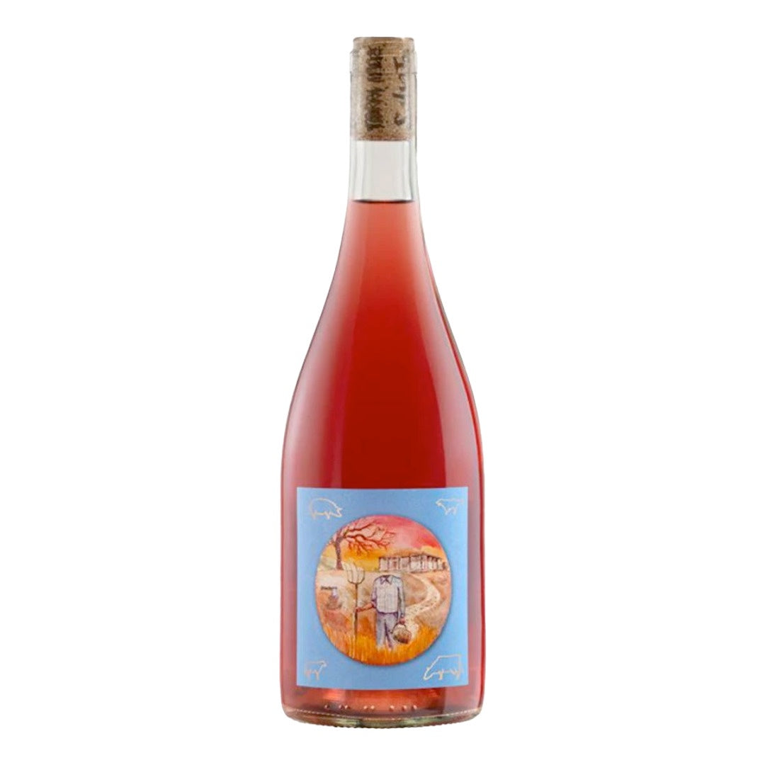 Vina Gonzales Bastias Pais Descabezado Valley del Maule