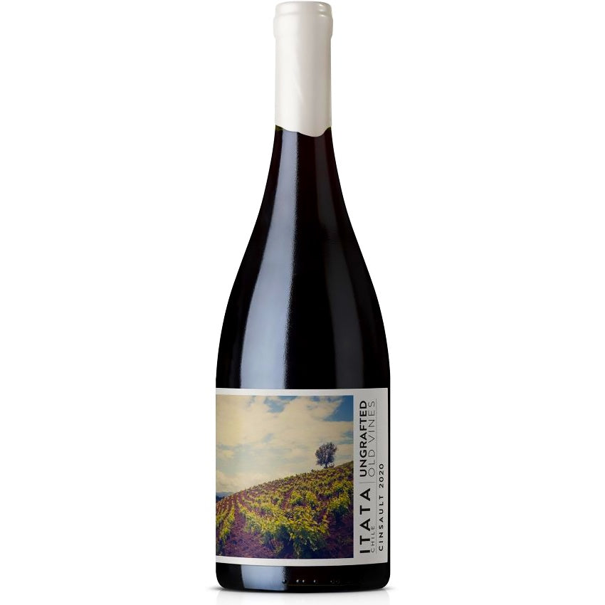 Ungrafted Cinsault Itata Valley - Grain & Vine | Natural Wines, Rare Bourbon and Tequila Collection
