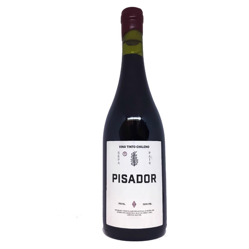 Pisador Chileno Cauquenes Vino Tinto - Grain & Vine | Natural Wines, Rare Bourbon and Tequila Collection