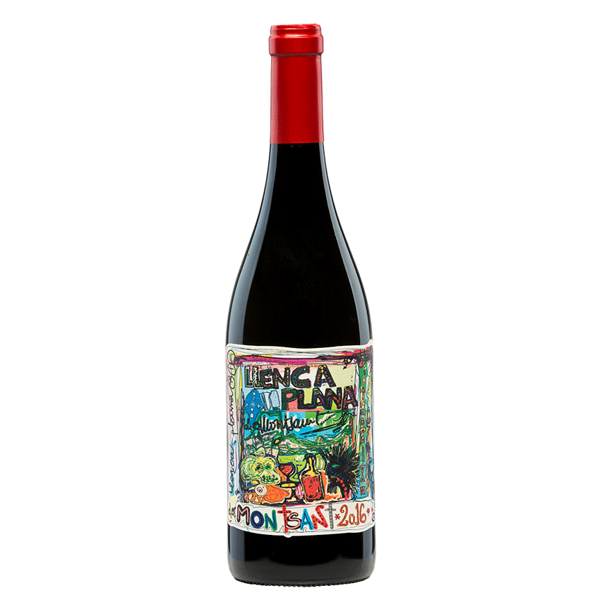 Terra de Falanis Llenca Plana Montsant - Grain & Vine | Natural Wines, Rare Bourbon and Tequila Collection