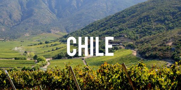 Chile - Grain & Vine | Curated Wines, Rare Bourbon and Tequila Collection