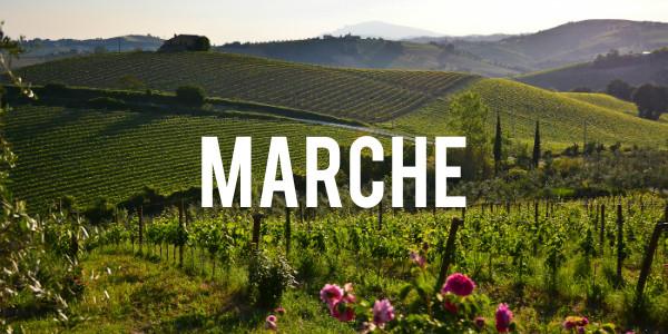 Marche - Grain & Vine | Curated Wines, Rare Bourbon and Tequila Collection