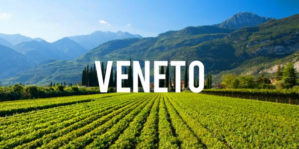 Veneto - Grain & Vine | Curated Wines, Rare Bourbon and Tequila Collection