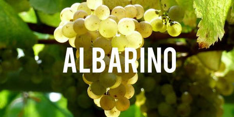 Albarino - Grain & Vine | Curated Wines, Rare Bourbon and Tequila Collection