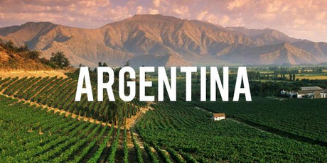 Argentina - Grain & Vine | Curated Wines, Rare Bourbon and Tequila Collection