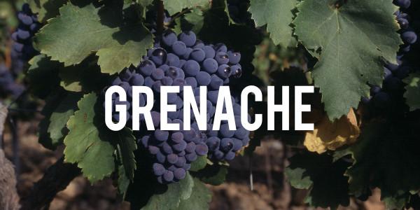 Grenache - Grain & Vine | Curated Wines, Rare Bourbon and Tequila Collection
