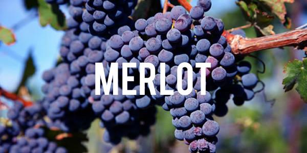 Merlot - Grain & Vine | Curated Wines, Rare Bourbon and Tequila Collection