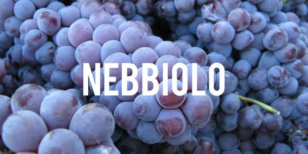 Nebbiolo - Grain & Vine | Curated Wines, Rare Bourbon and Tequila Collection