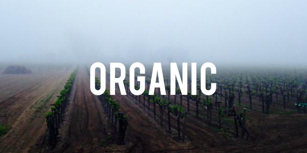 Organic Wines - Grain & Vine | Curated Wines, Rare Bourbon and Tequila Collection