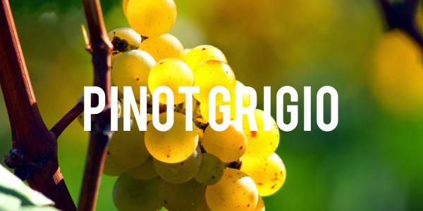 Pinot Grigio - Grain & Vine | Curated Wines, Rare Bourbon and Tequila Collection