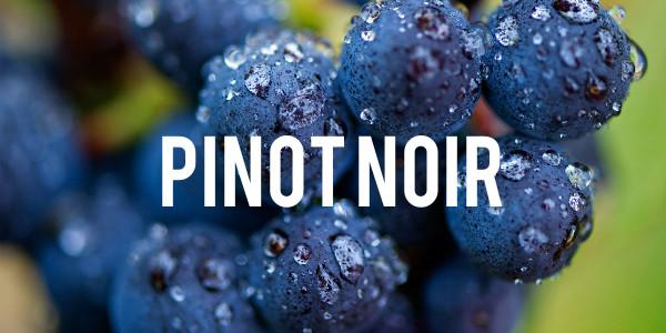 Pinot Noir - Grain & Vine | Curated Wines, Rare Bourbon and Tequila Collection