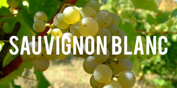 Sauvignon Blanc - Grain & Vine | Curated Wines, Rare Bourbon and Tequila Collection