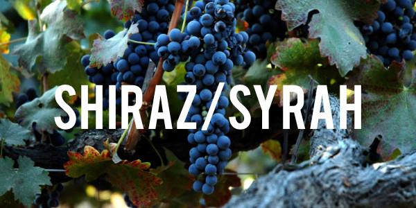 Shiraz / Syrah - Grain & Vine | Curated Wines, Rare Bourbon and Tequila Collection