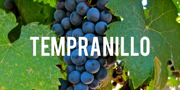 Tempranillo - Grain & Vine | Curated Wines, Rare Bourbon and Tequila Collection