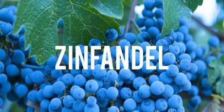 Zinfandel - Grain & Vine | Curated Wines, Rare Bourbon and Tequila Collection