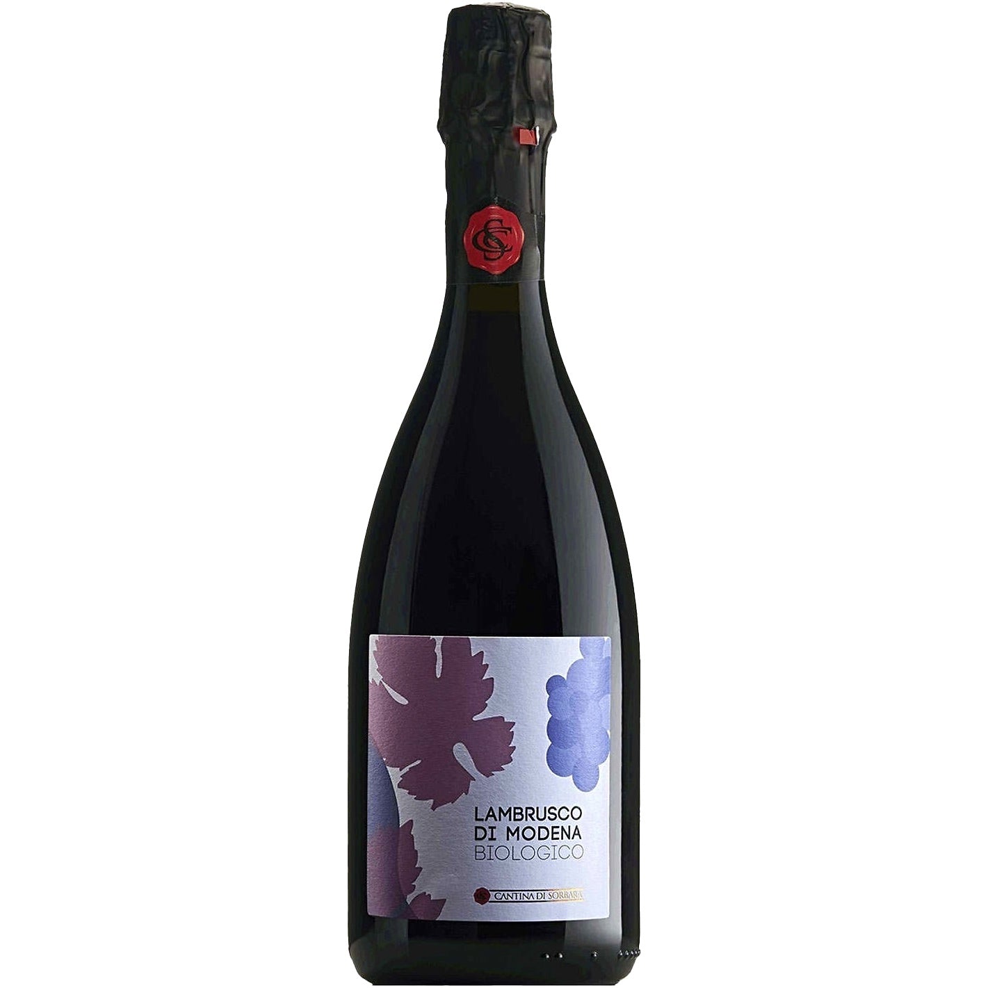 このちゃん⚠️Marco Barbieri イタリア　クレモナ　4/4 Cantina della Pioppa Lambrusco di Modena Biologico – Grain & Vine