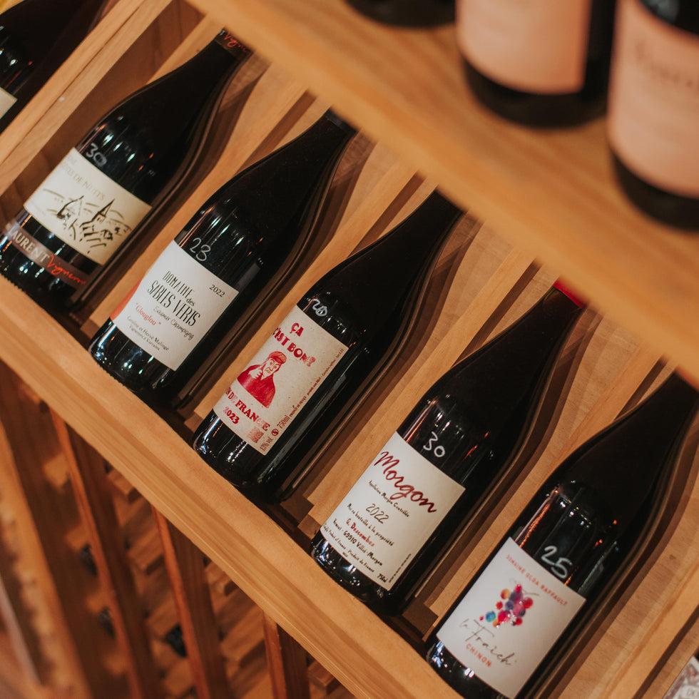 Red Wines Collection | Grain & Vine