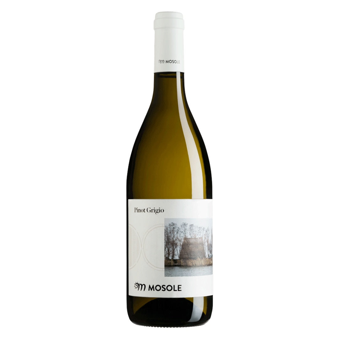 Tenuta Mosole Pinot Grigio – Grain & Vine | Natural Wines, Rare