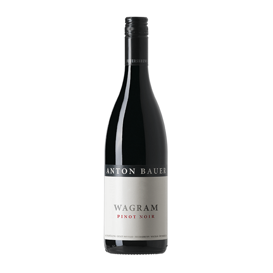 Anton Bauer Wagram Pinot Noir - Grain & Vine | Natural Wines, Rare Bourbon and Tequila Collection