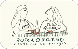Vina Echeverria Romi Orange Sauvignon Blanc - Grain & Vine | Natural Wines, Rare Bourbon and Tequila Collection