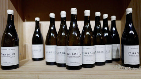 Patrick Piuze Terroir De Chichee Chablis - Grain & Vine | Natural Wines, Rare Bourbon and Tequila Collection