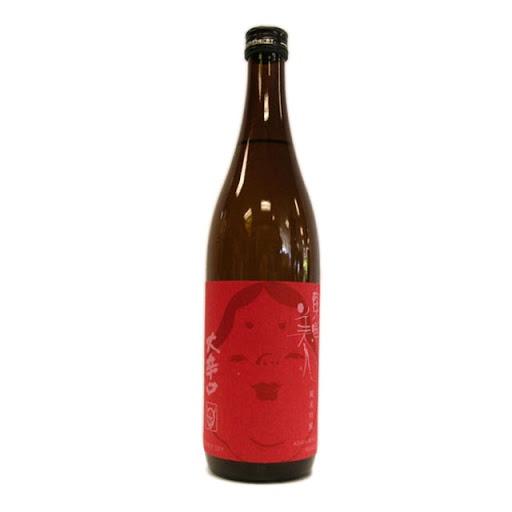 Sumikawa Brewery Toyo Bijin Asian Beauty Junmai Ginjo Sake - Grain & Vine | Natural Wines, Rare Bourbon and Tequila Collection