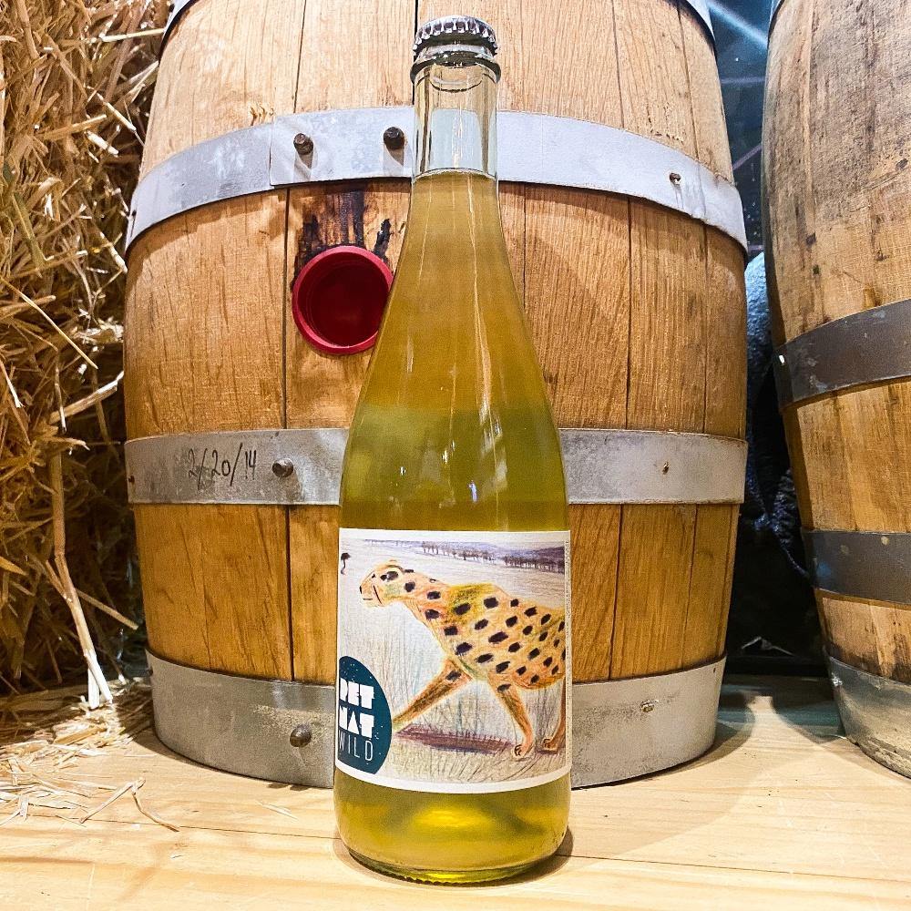 Vina Echeverria Wild Pet Nat - Grain & Vine | Natural Wines, Rare Bourbon and Tequila Collection