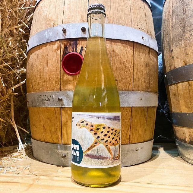 Vina Echeverria Wild Pet Nat - Grain & Vine | Natural Wines, Rare Bourbon and Tequila Collection